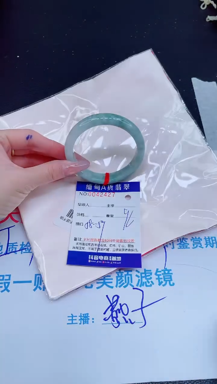 未镶嵌手镯翡翠0215714999