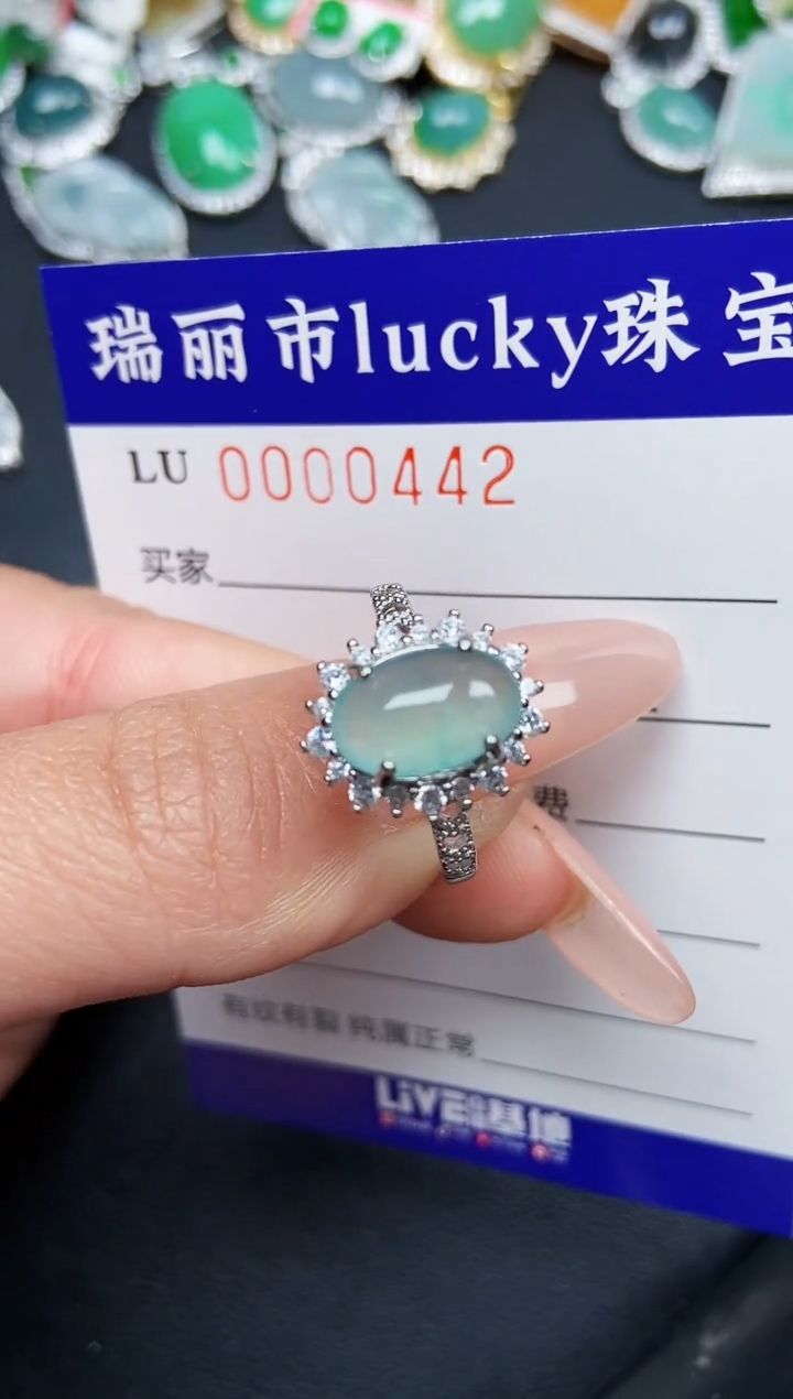【闪购商品】翡翠颈饰银S925镶嵌0442