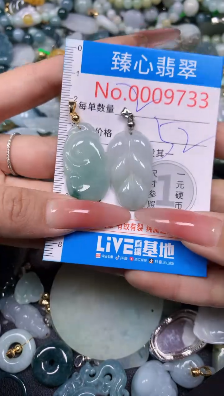 【闪购商品】翡翠颈饰未镶嵌含绳0009733