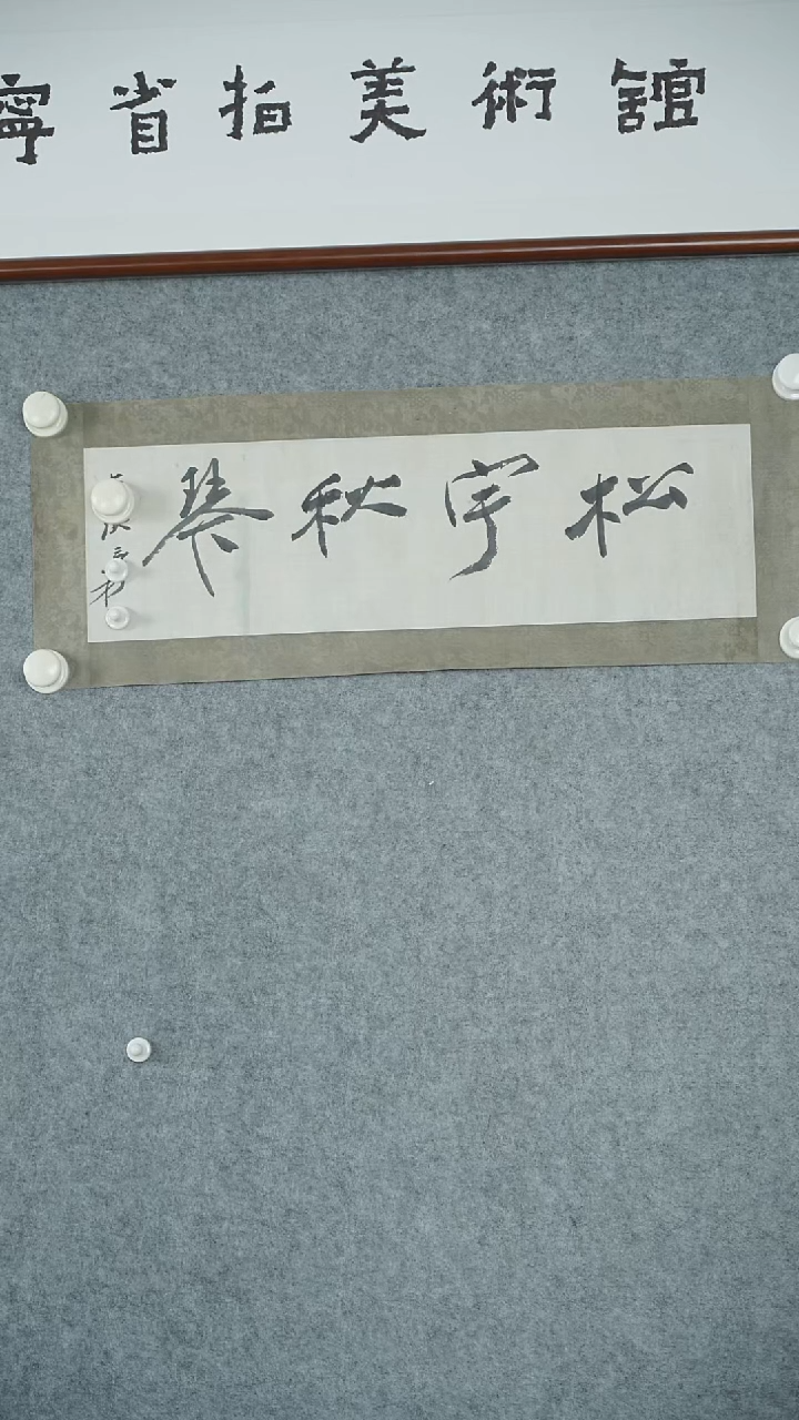 横款【辽拍】张先生-书法