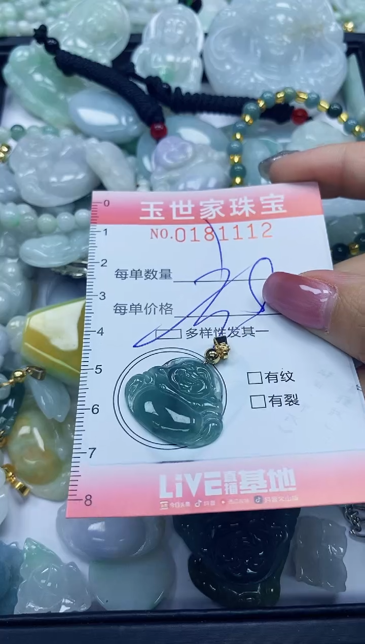 【闪购商品】翡翠颈饰未镶嵌闪购0181112多样性发其一