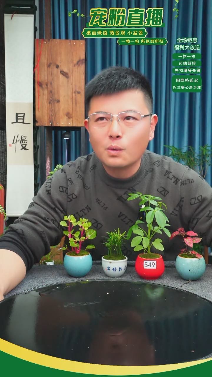 无花朵@*苔藓微景观549号