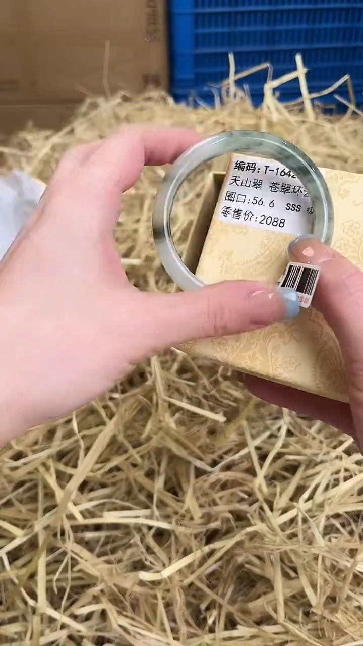 未镶嵌手镯石英岩玉T-1642