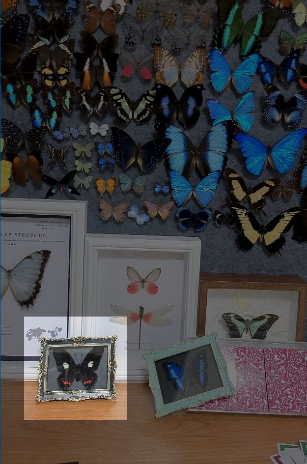 凤蝶冰箱贴A1完美品