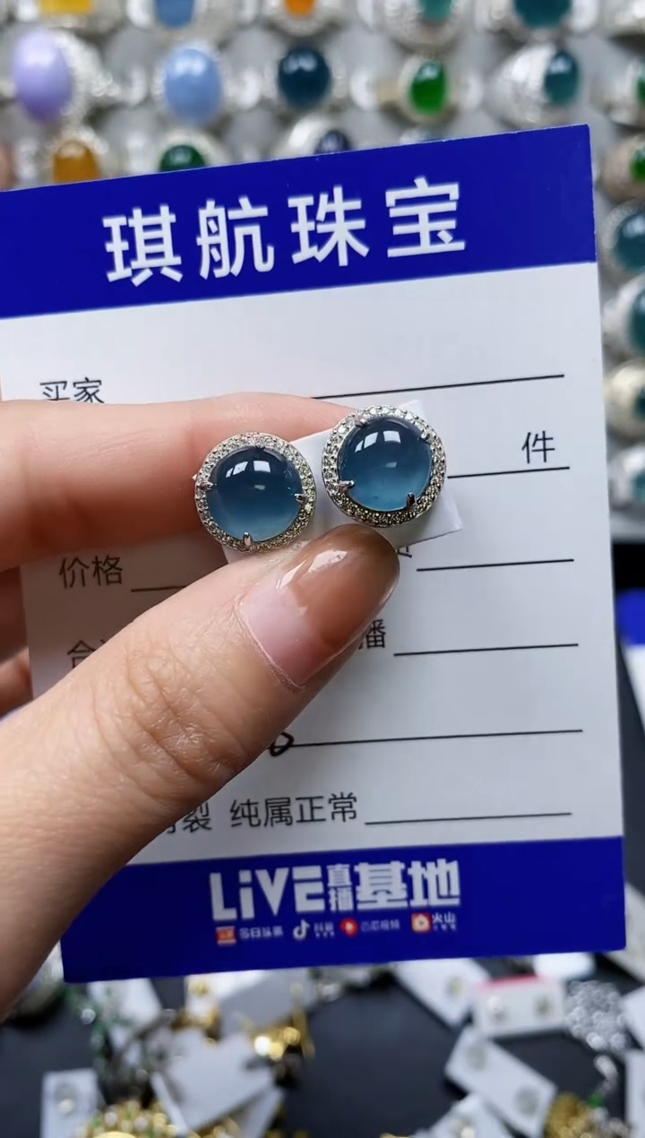 【闪购商品】翡翠耳饰银S925镶嵌0788