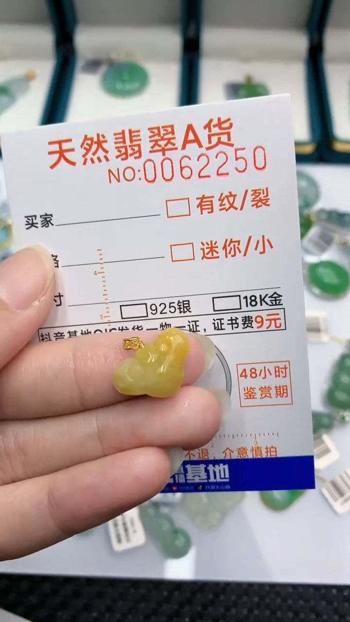 【闪购商品】翡翠颈饰18K金镶嵌            8