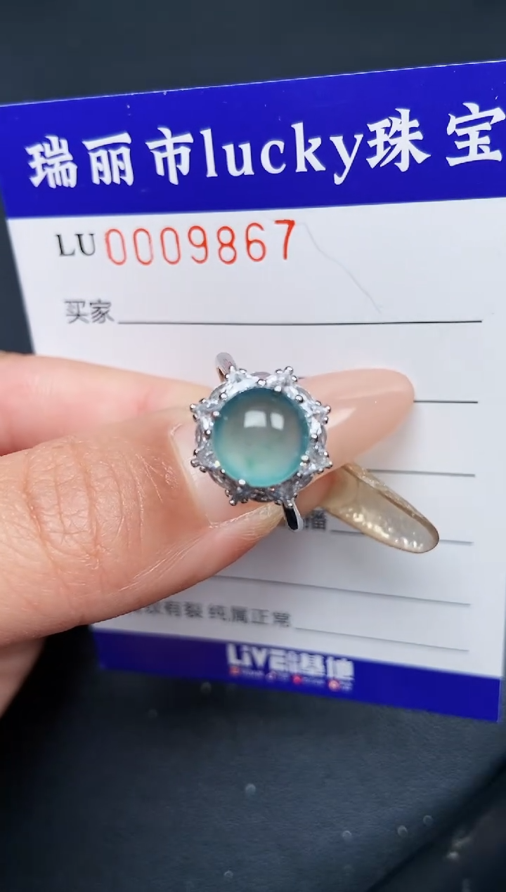 【闪购商品】翡翠颈饰银S925镶嵌9867