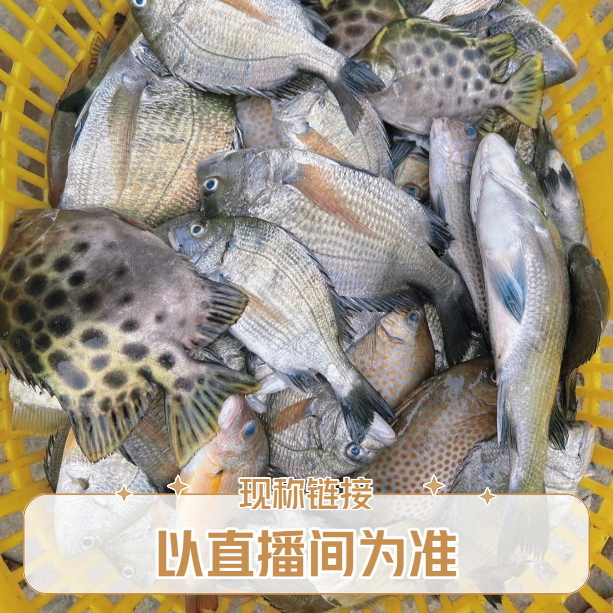 《大妮海鲜》东海野生海捕 现称拼单 介意勿拍【规格以直播间为准】