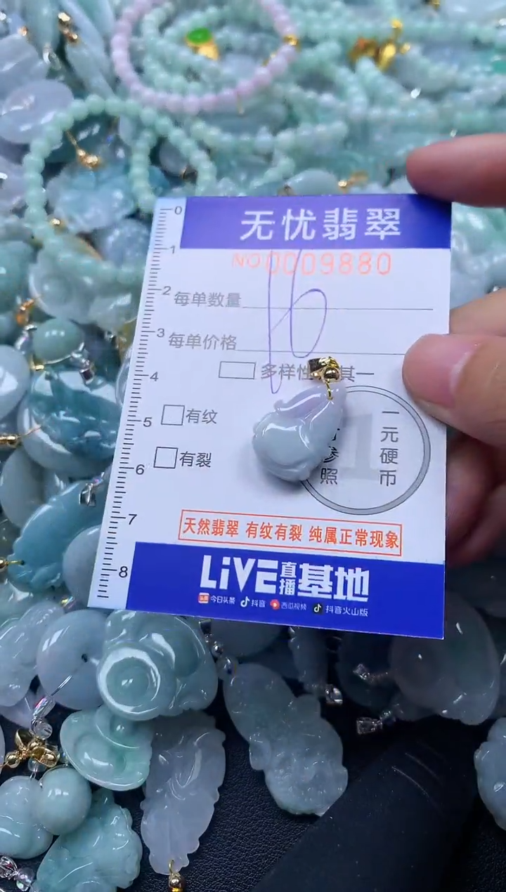 颈饰未镶嵌翡翠9880