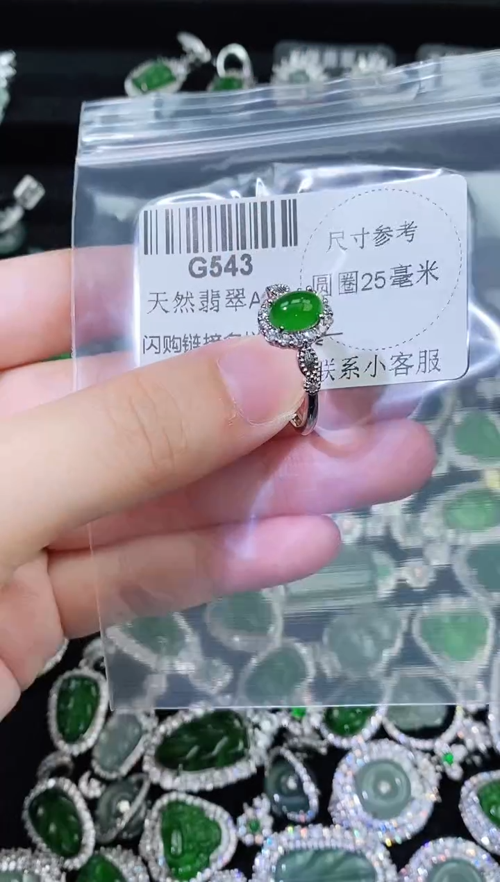 翡翠未镶嵌颈饰精美翡翠-多样性只发一件G543