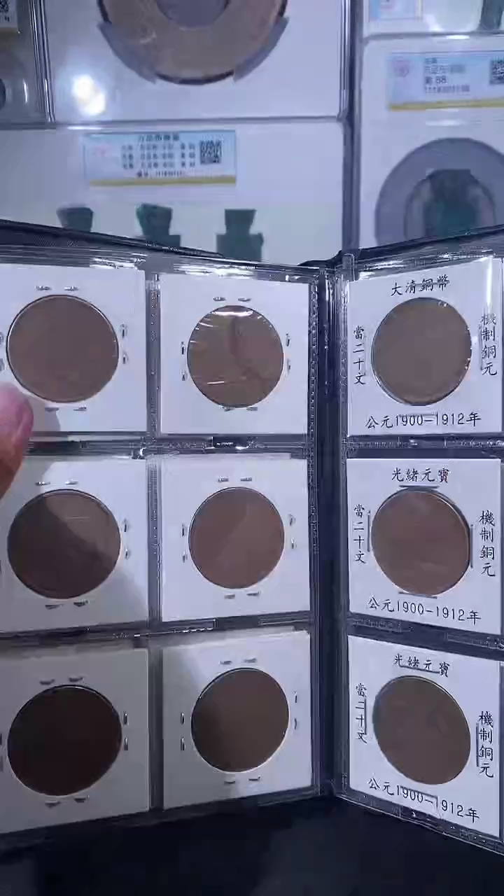 【闪购商品】铜琪珍铜元版别册