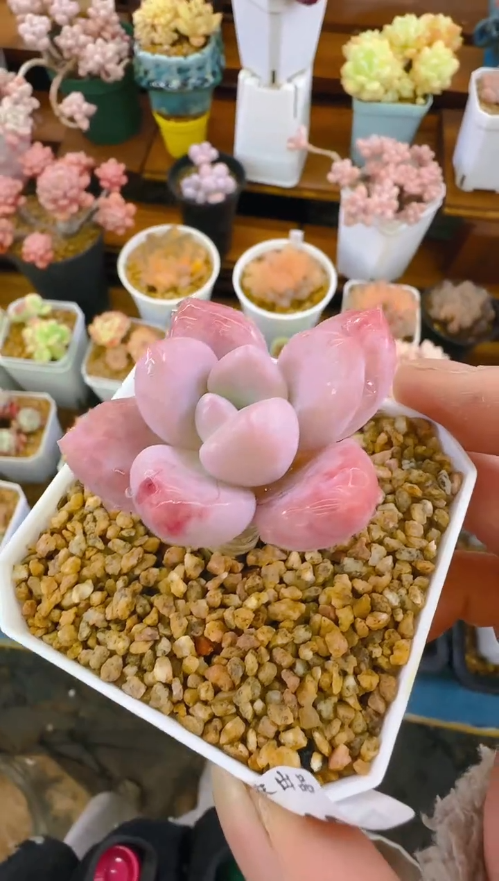 【闪购商品】喜—102—仙农(香水）