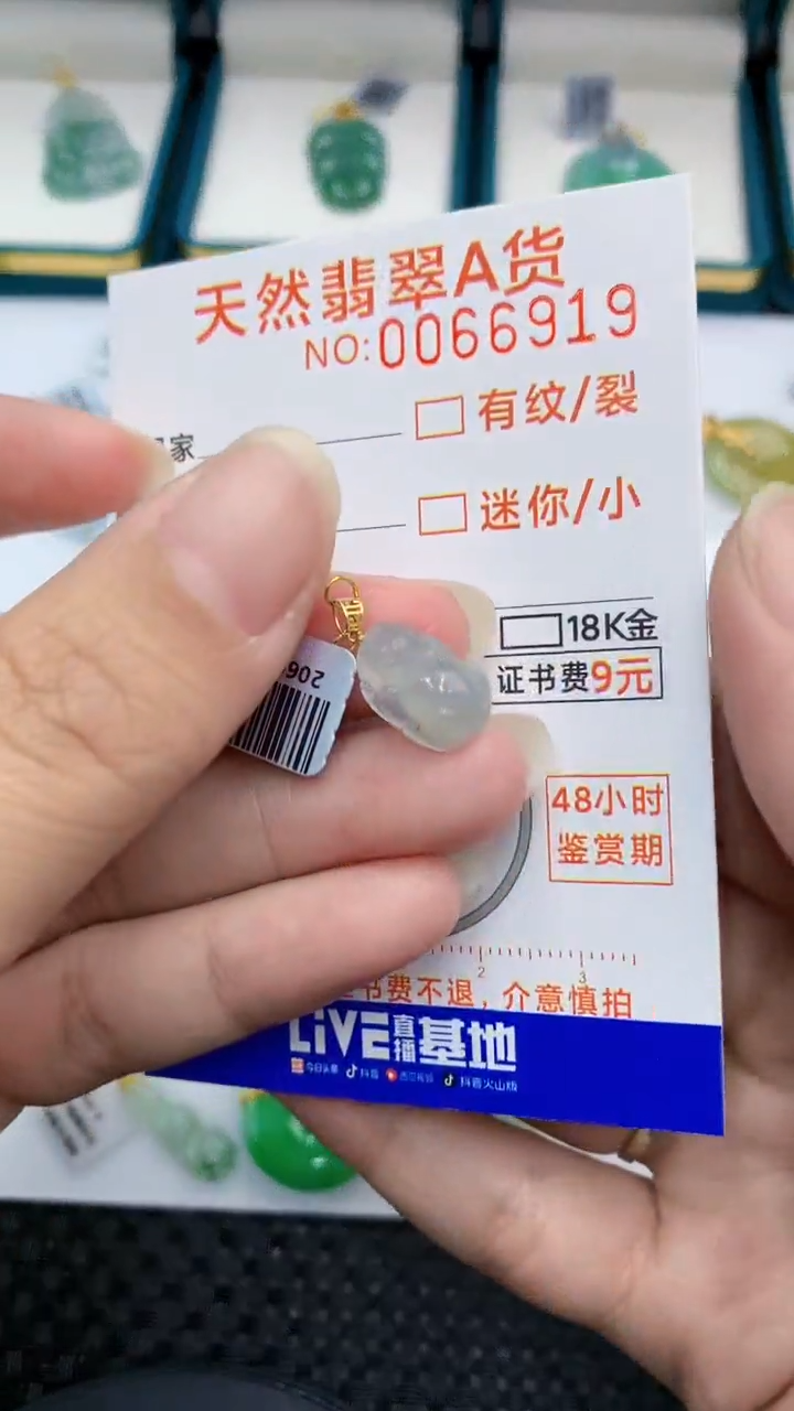 【闪购商品】翡翠颈饰18K金镶嵌            8