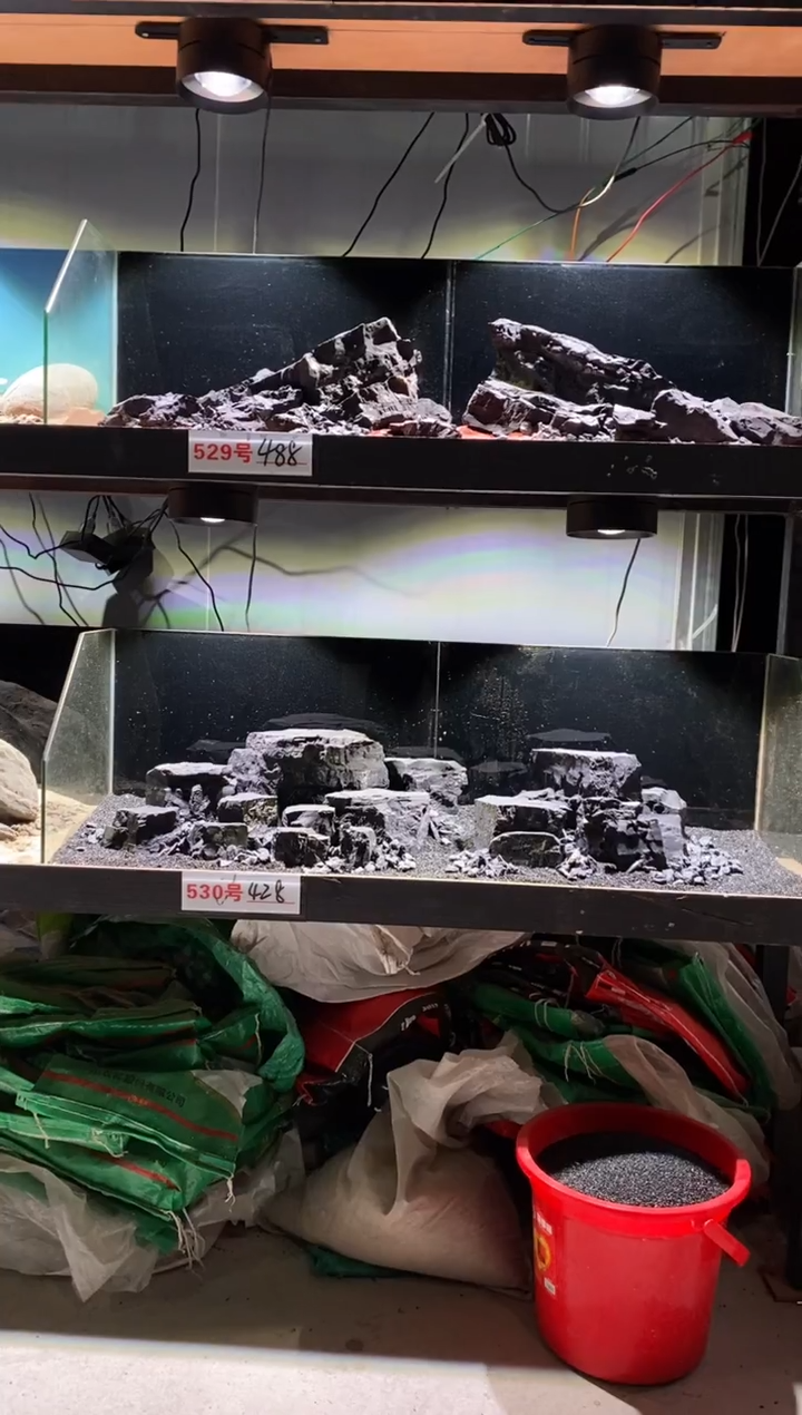 530号鱼缸造景（不含底砂）