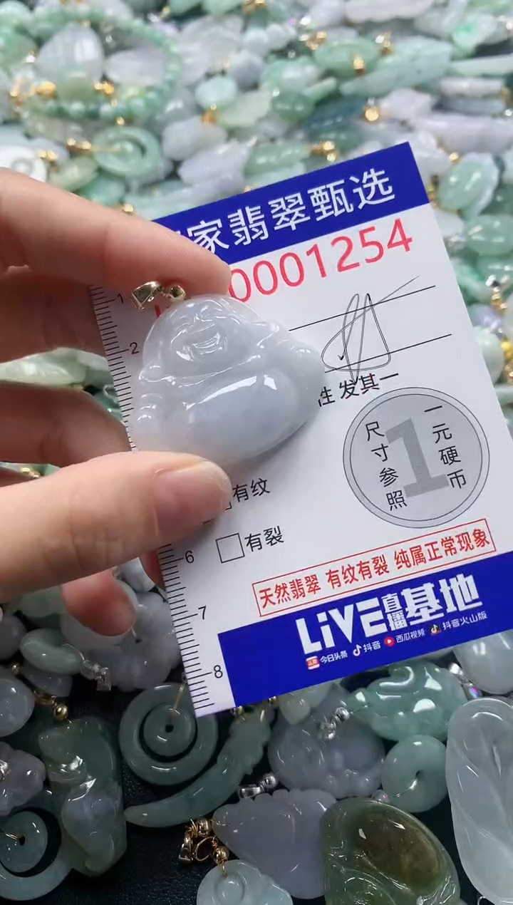 吊坠(不含链)未镶嵌翡翠1254