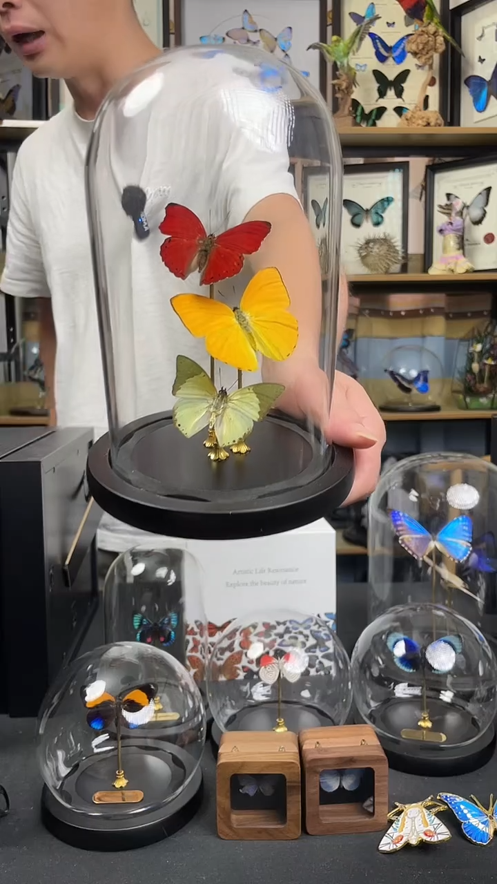 杏菲粉+血漪+淡绿无螯-中号玻璃罩款