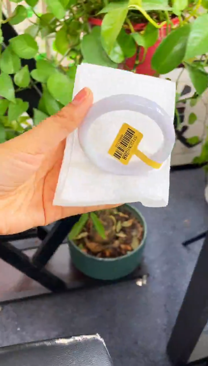 未镶嵌手镯翡翠001-57.6