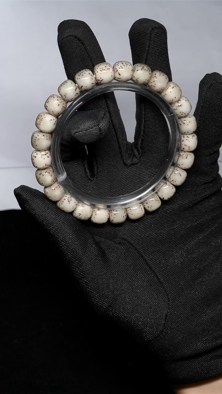 手串星月菩提9*8通体骨瓷白针尖牛毛星-YZ66