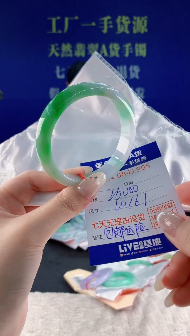 未镶嵌手镯翡翠05