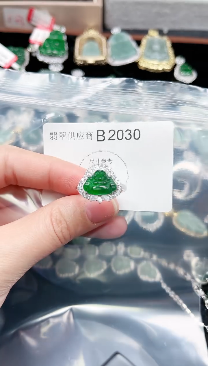 【闪购商品】翡翠颈饰未镶嵌2030赠皮绳