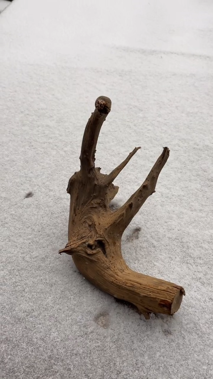 柏木（崖柏）用****3崖柏毛料。。