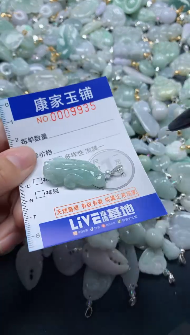 颈饰未镶嵌翡翠9935