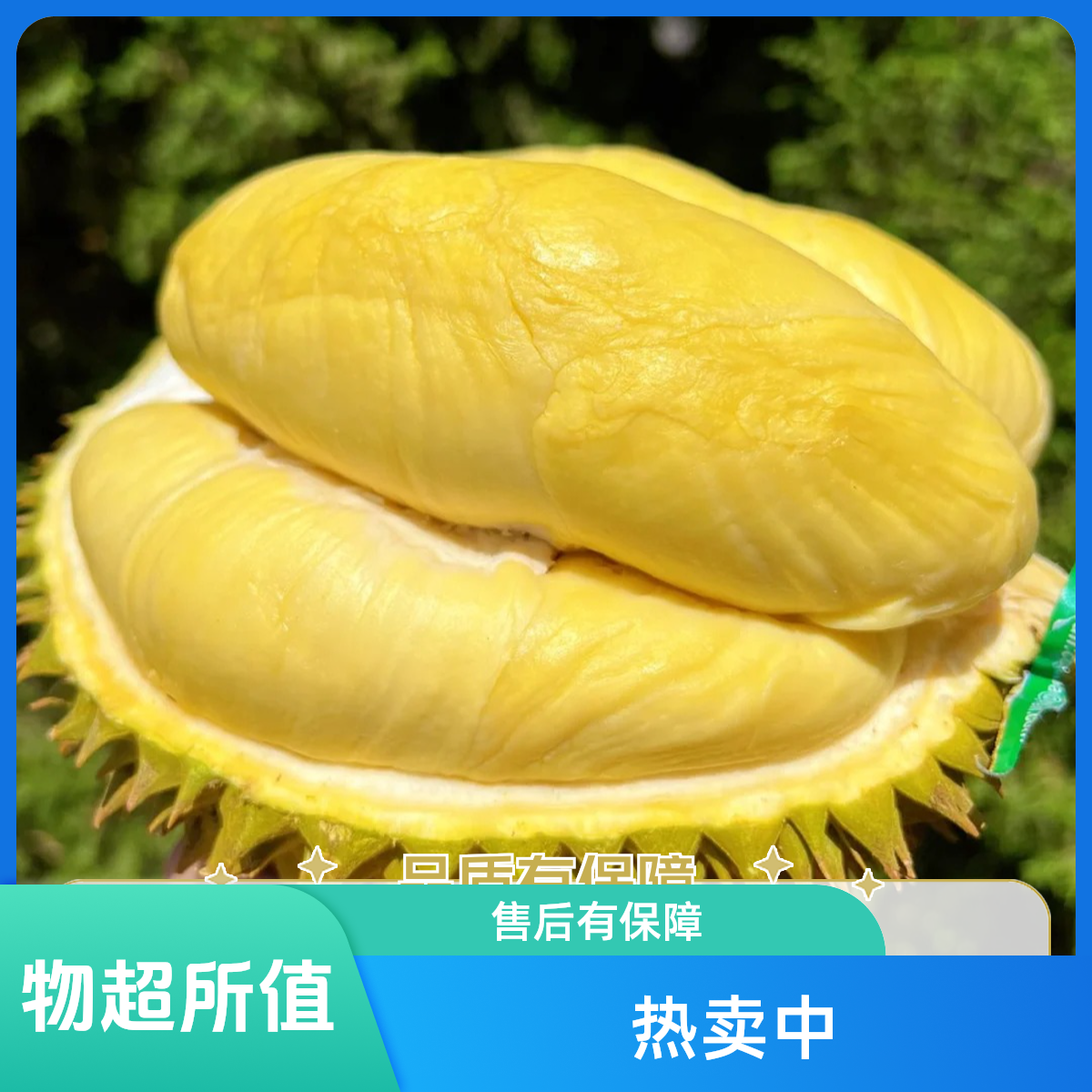 粉丝福利（微湿/微夹）【哈尔滨同城】新鲜泰国树熟金枕榴莲核小榴莲珠海同城配一果一重金枕泰国