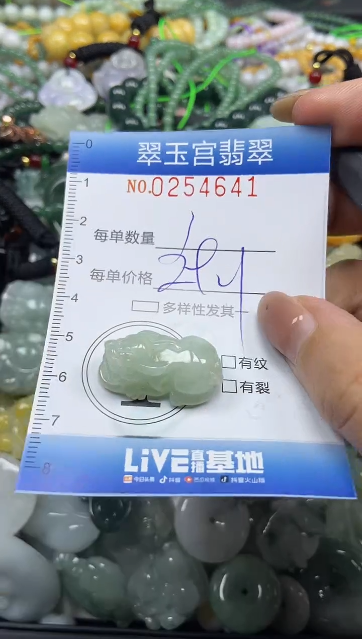 颈饰未镶嵌翡翠闪购C0254641