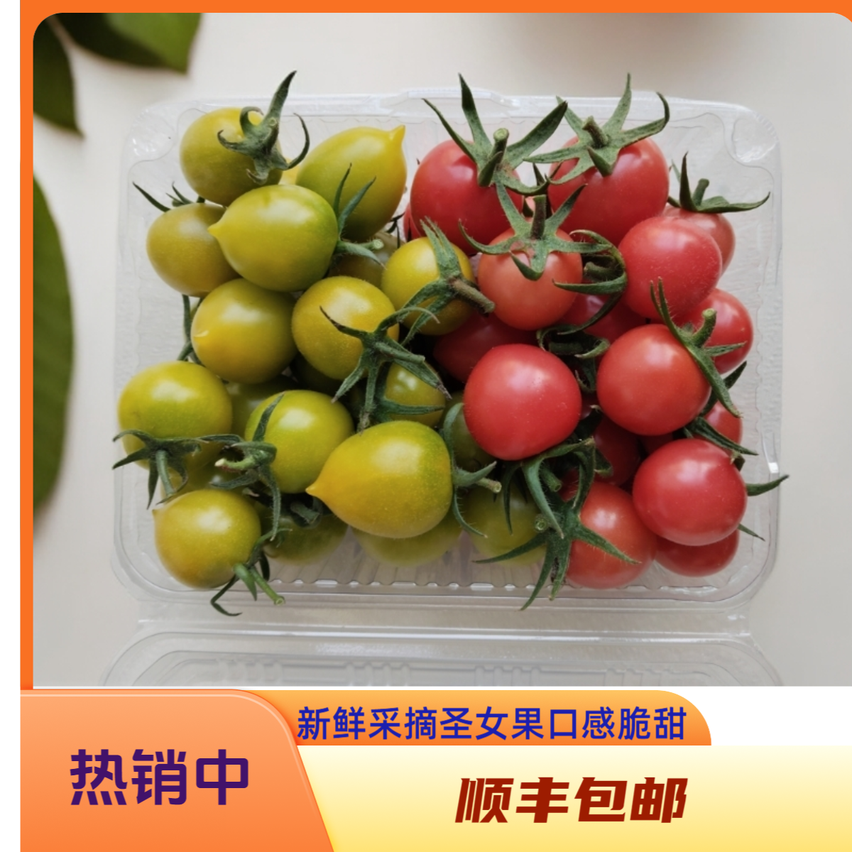 1/2/3/5斤装青甜＋贝贝尝鲜山东现摘新鲜圣女果小番茄皮薄脆甜水果