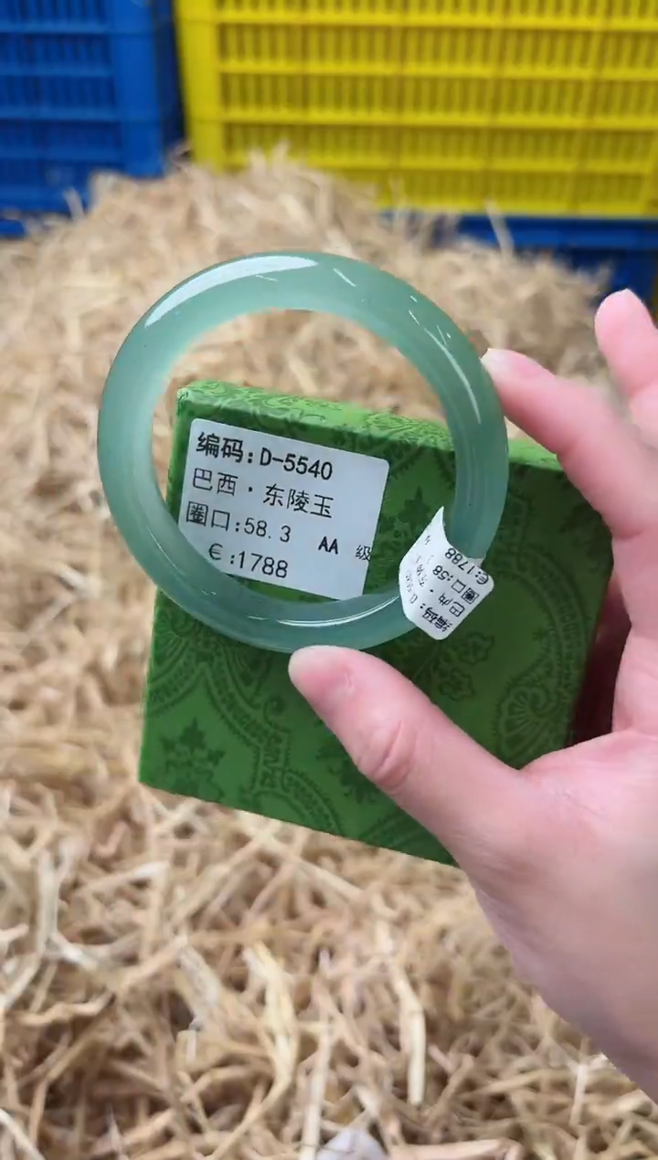 未镶嵌手镯石英质玉D-5540