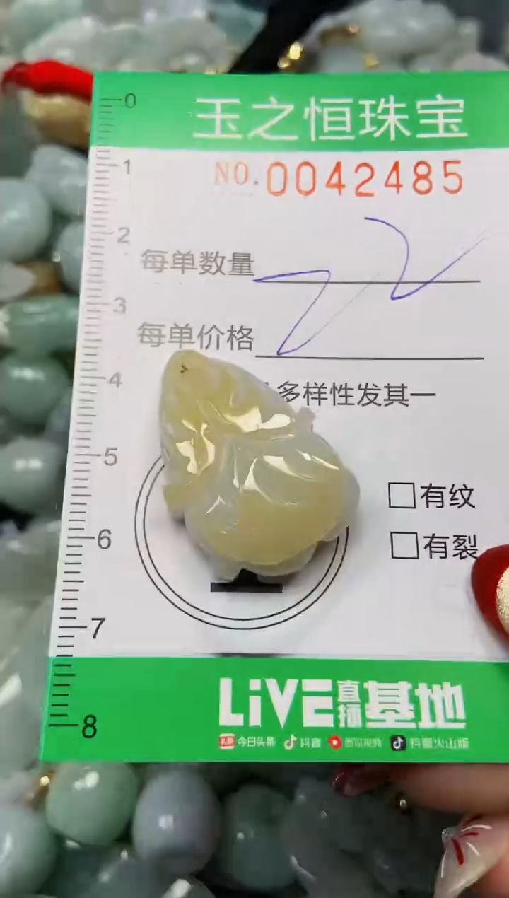 【闪购商品】翡翠颈饰未镶嵌闪购0042485