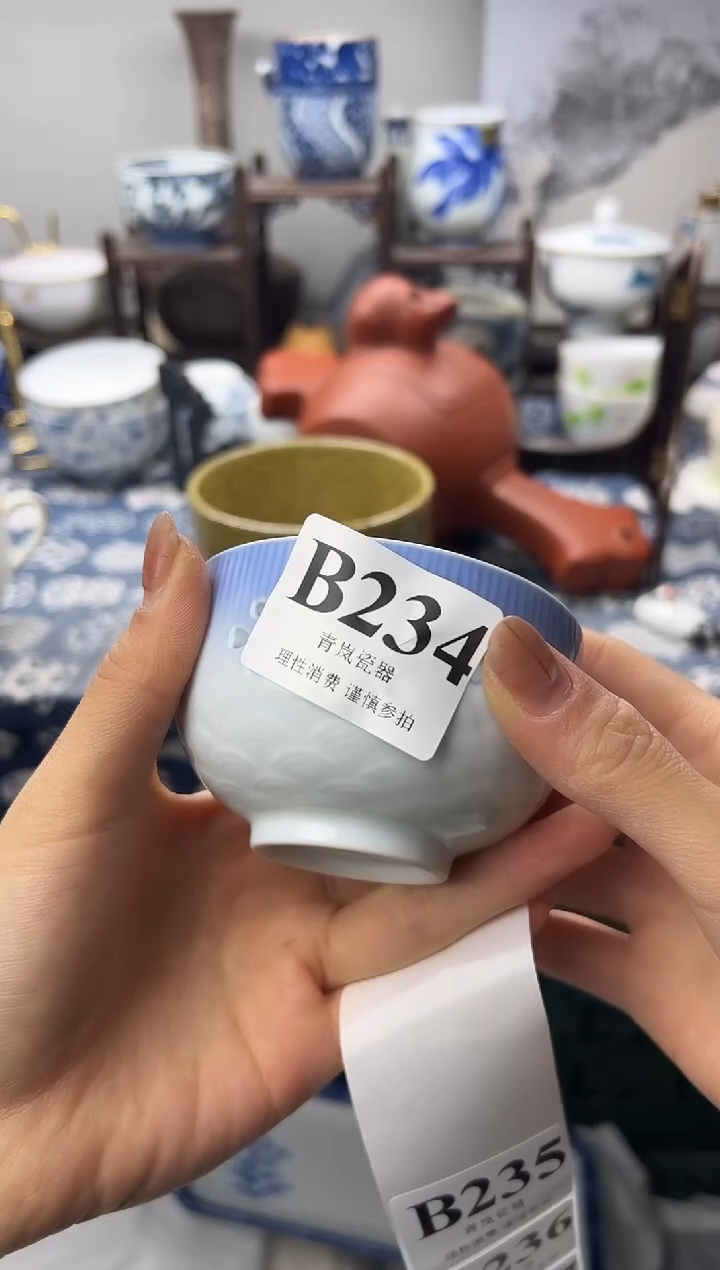 瓷片1*3    B234