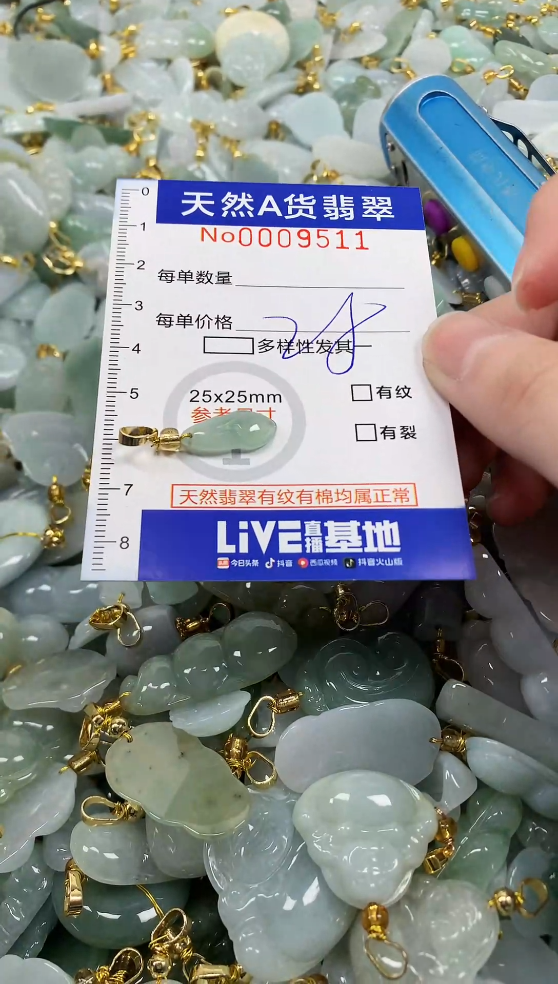 颈饰未镶嵌翡翠纯天然a货翡翠