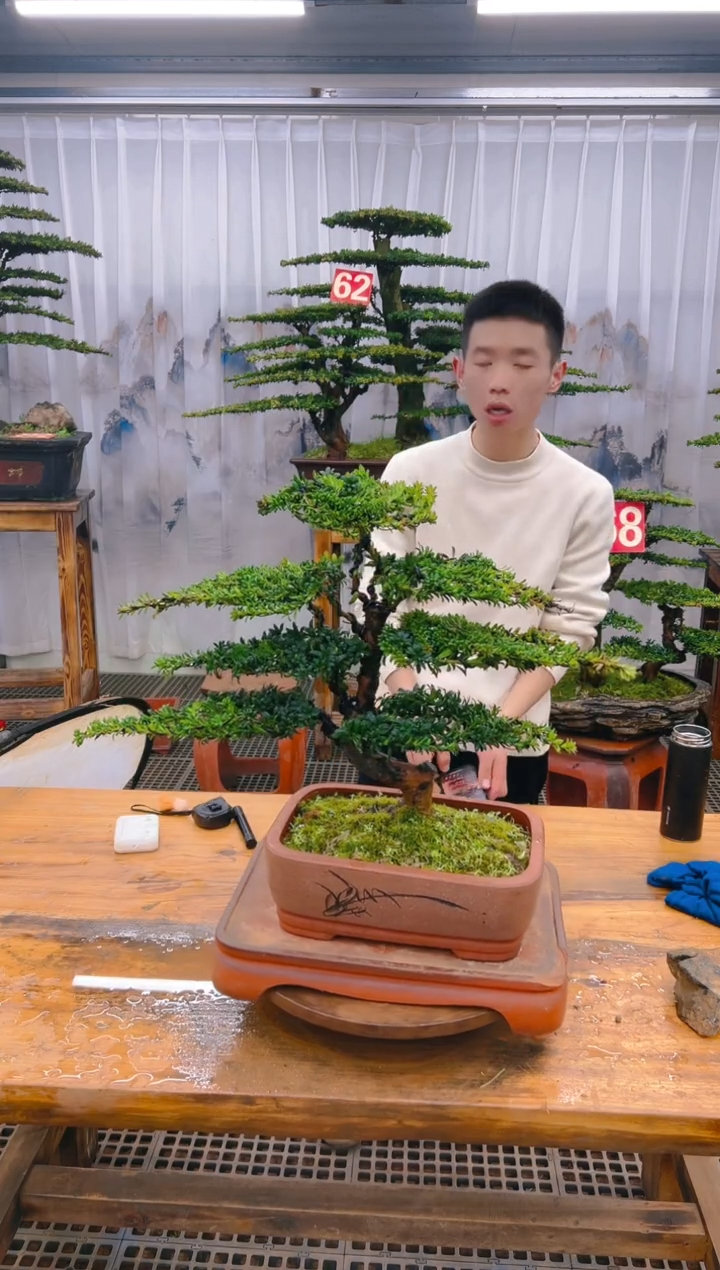 【闪购商品】紫砂精品盆景直播间一物一拍