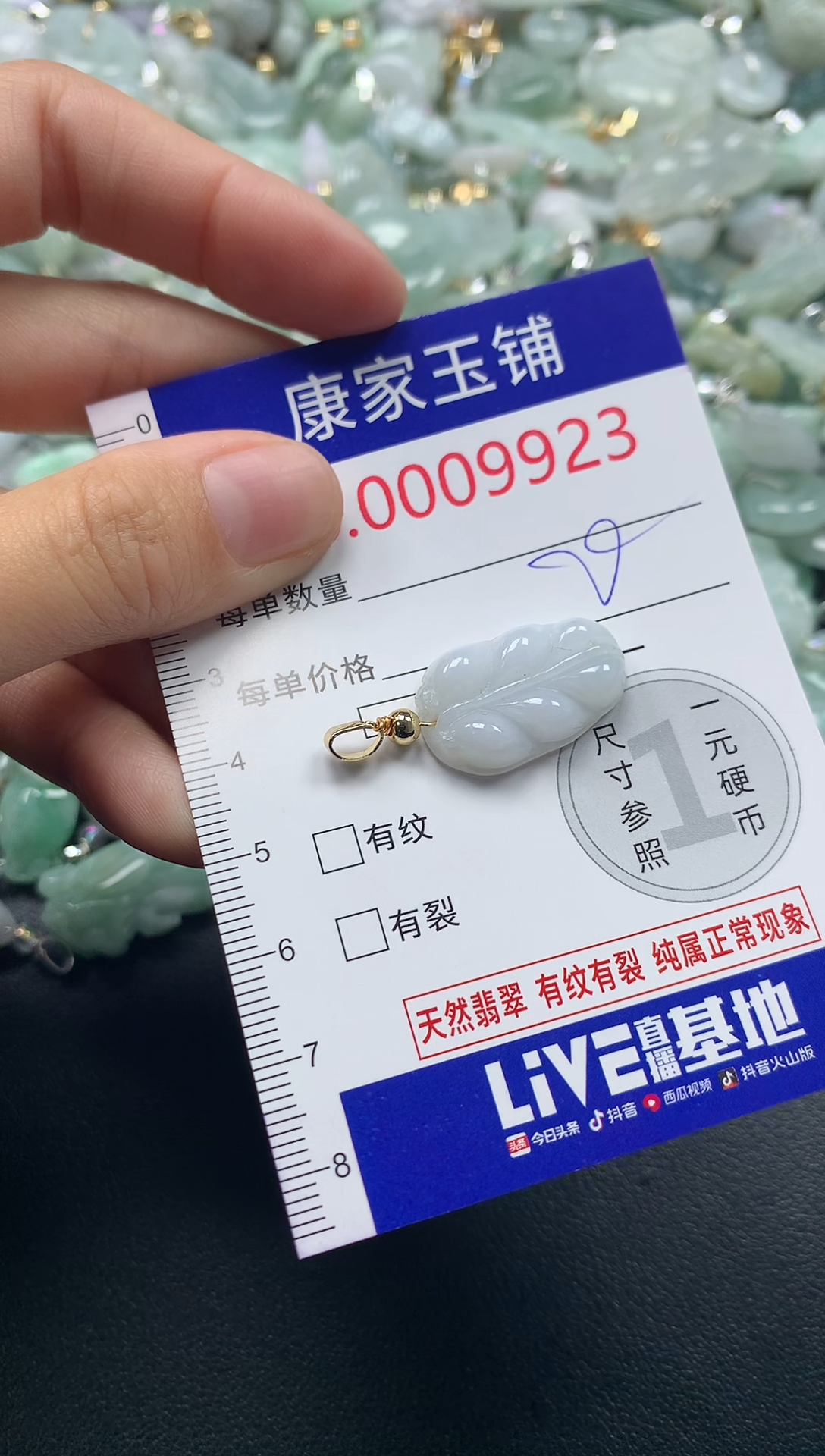 颈饰未镶嵌翡翠9923