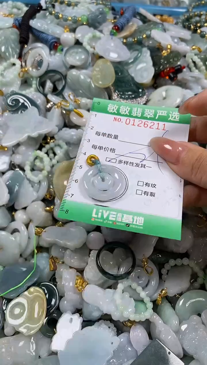 【闪购商品】翡翠颈饰未镶嵌闪购0126211多样性发其一