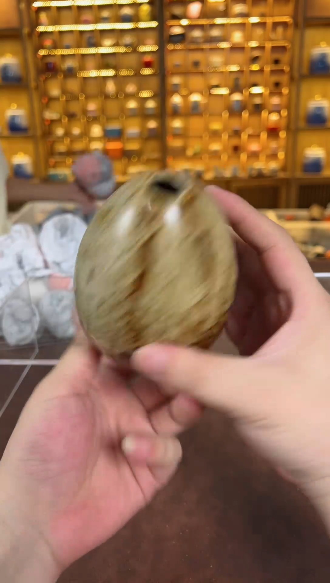 瓷片鸣盏居11111111