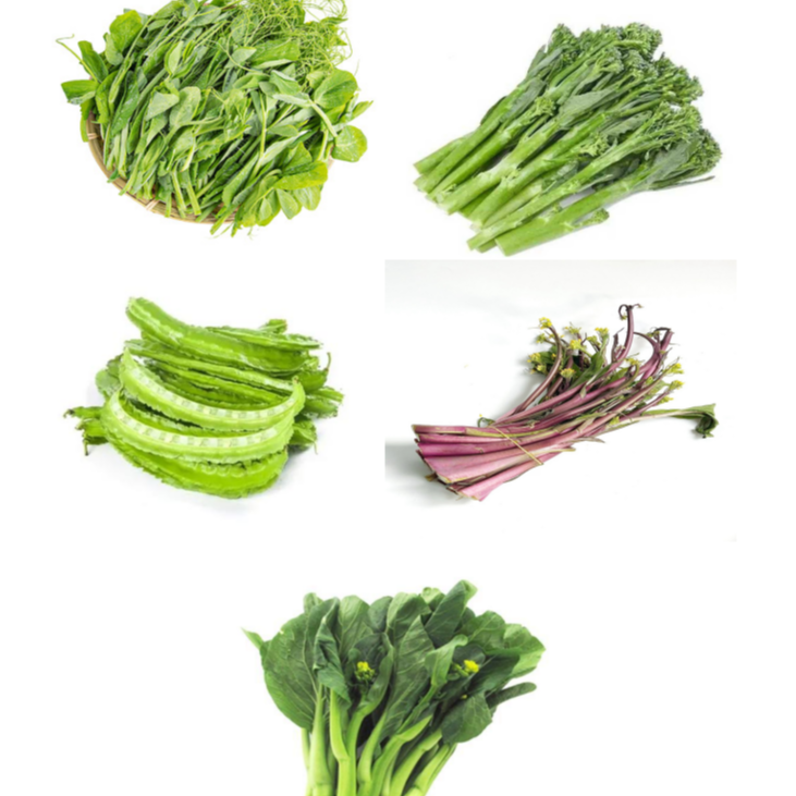南方菜套餐A  5种菜品