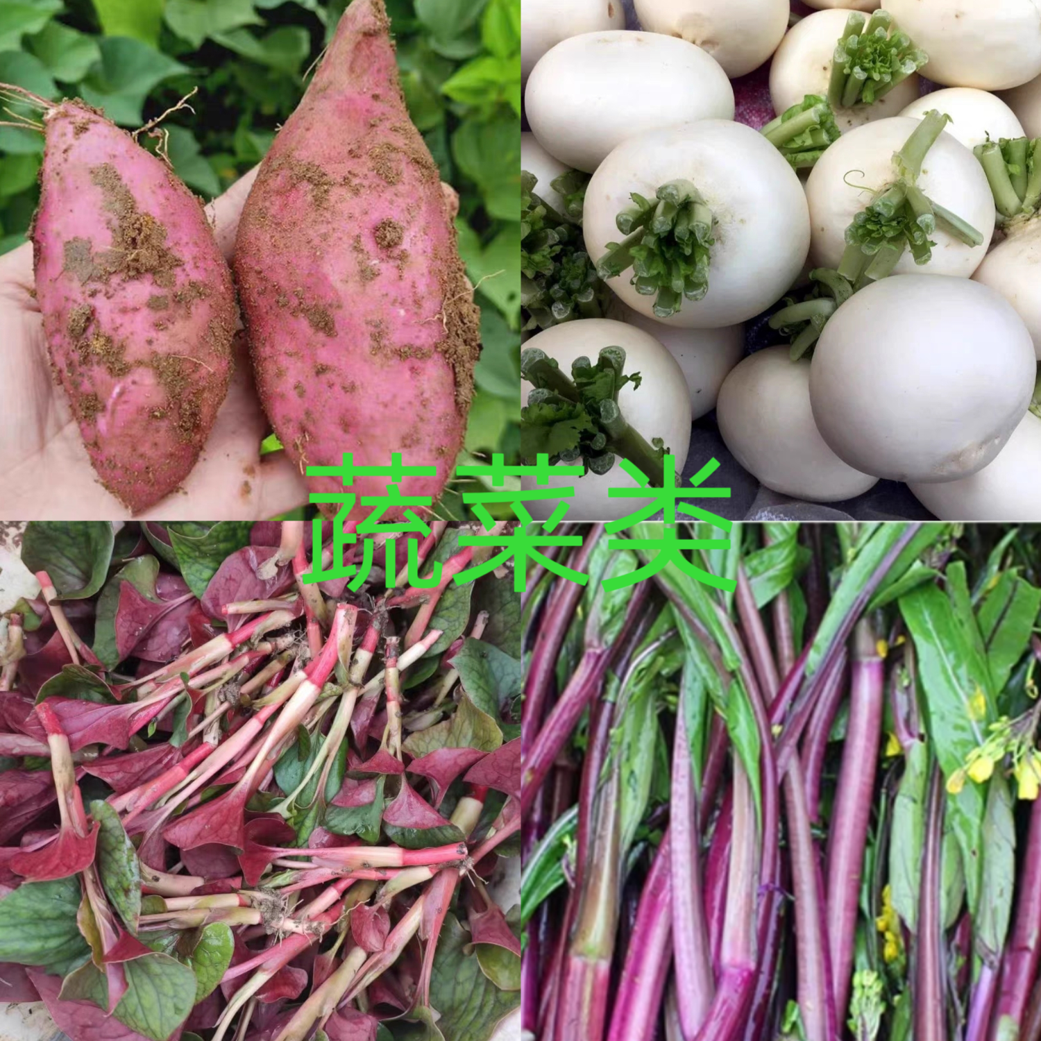 农村赶集代买蔬菜水果