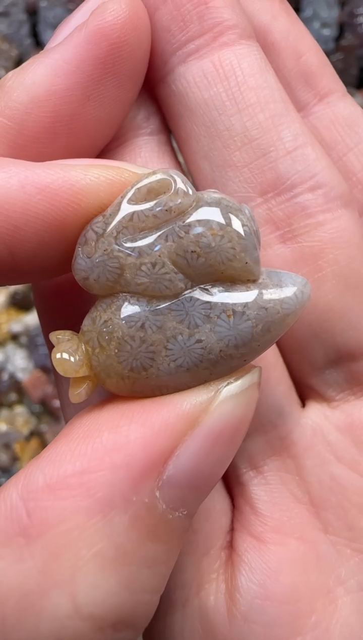 颈饰未镶嵌硅化珊瑚（珊瑚玉）875