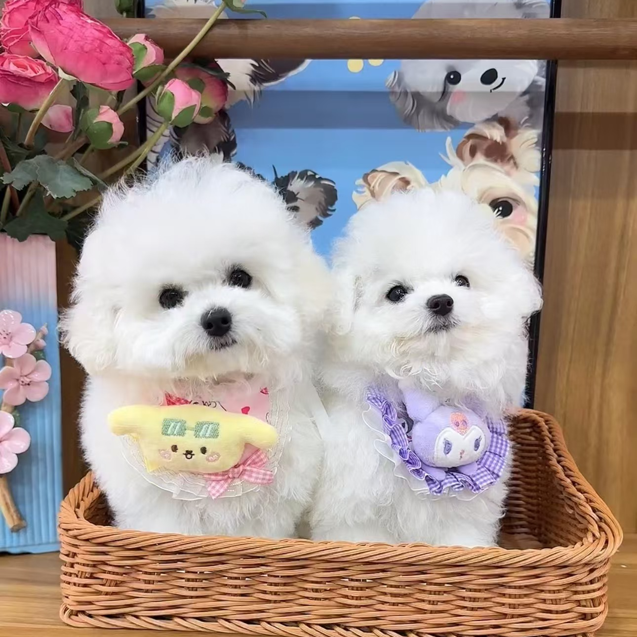 仟宠阁可爱伴侣犬聪明温顺乖小狗甜美卡哇伊奔向你的摇粒绒