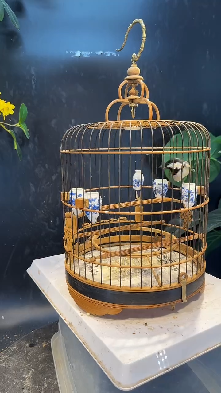 56号   贝子养笼1元起拍