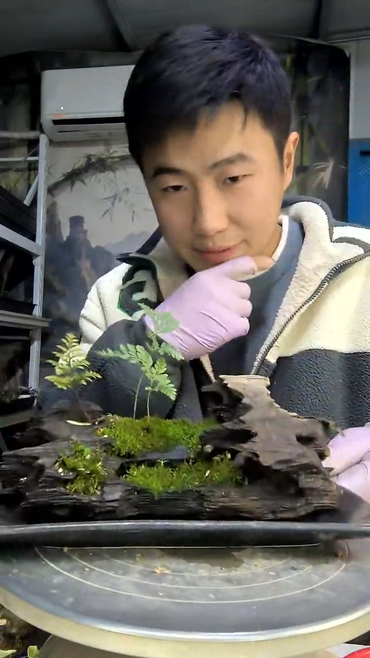 喻*中青园艺一物一拍花150