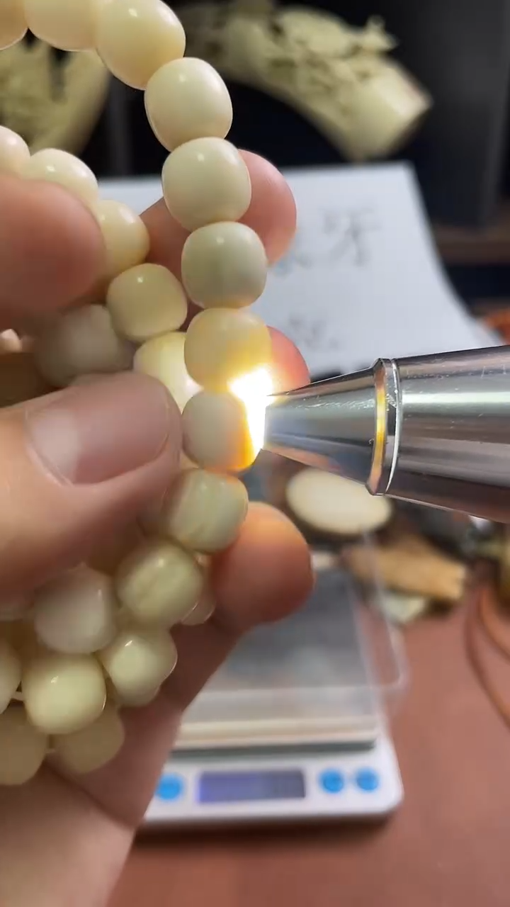 猛犸秋秋11*10半皮半肉老型单圈