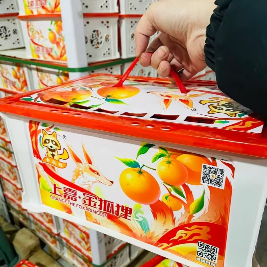 金狐狸耙耙柑一箱四川省