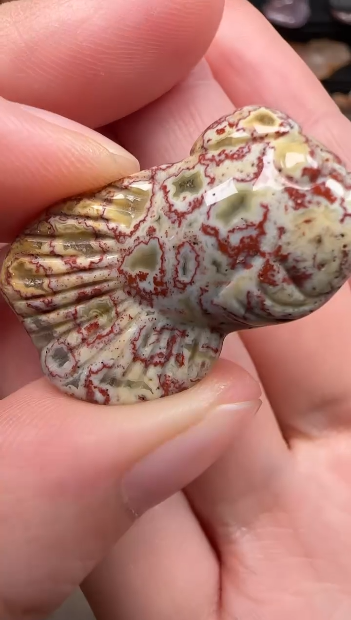 硅化珊瑚（珊瑚玉）未镶嵌颈饰827