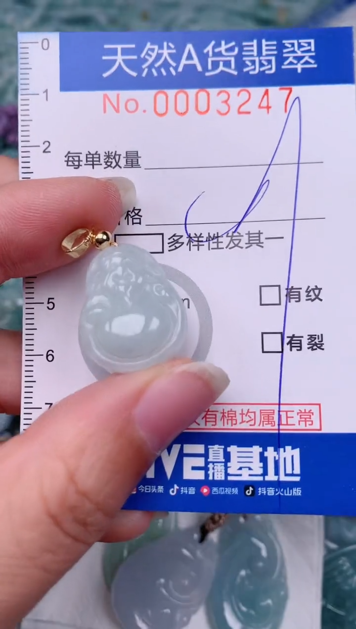 【闪购商品】翡翠颈饰未镶嵌00003247