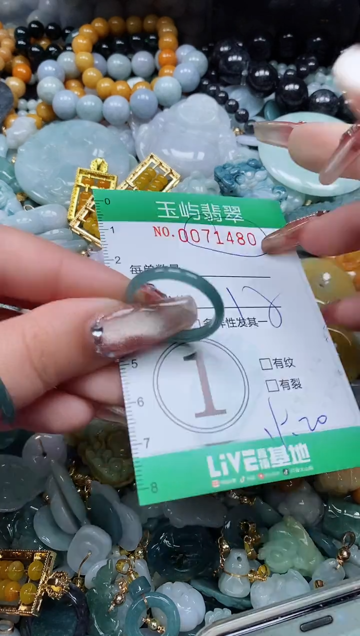 【闪购商品】翡翠颈饰未镶嵌闪购0071480