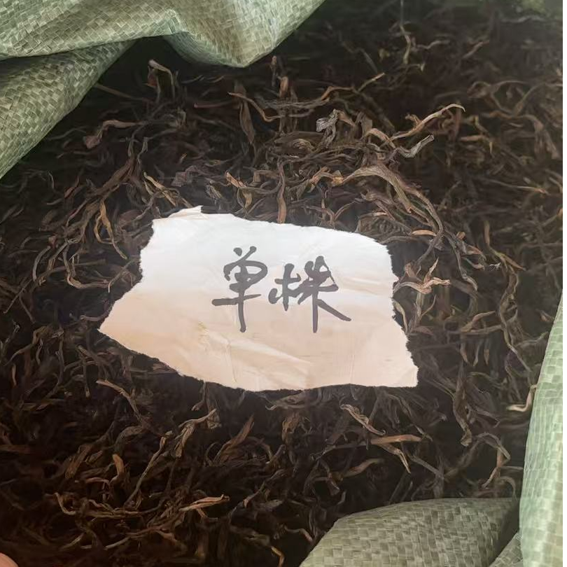 国艳 2025年   滑竹梁子古树单株 普洱茶生茶 散茶【300克/份】