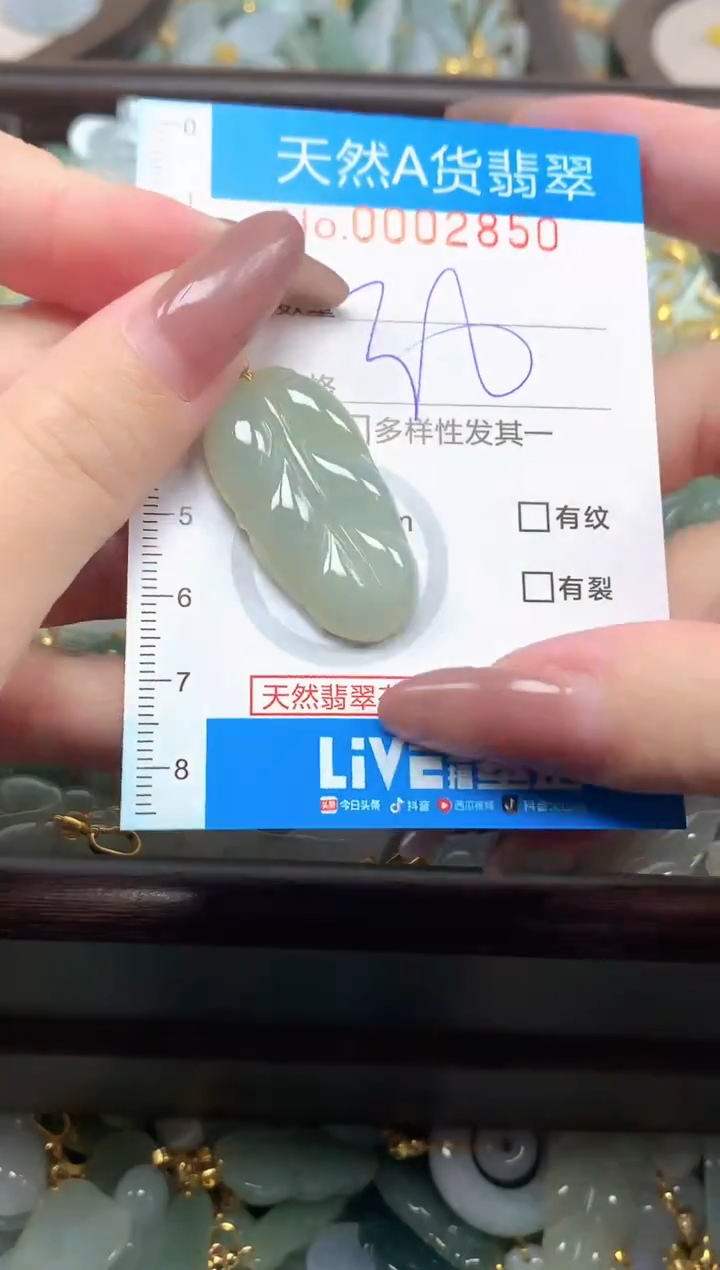 颈饰未镶嵌翡翠净货挂件-2850